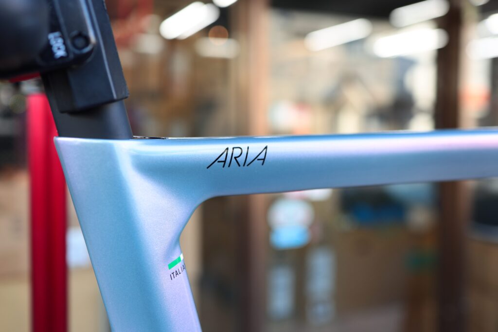 BIANCHI ARIA DISCフレームセット | BiciclettaSHIDO
